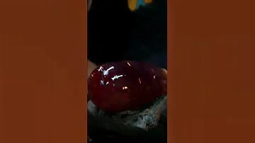GIANT GLASS OCTOPUS #glass #glassblowing #art #satisfying #asmr #awesome #cool #artist