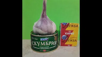 Лучшая прикормка для Черноморских рыбалок.Лучшая прикормка по Кефали,Ласкирю,Барабули.