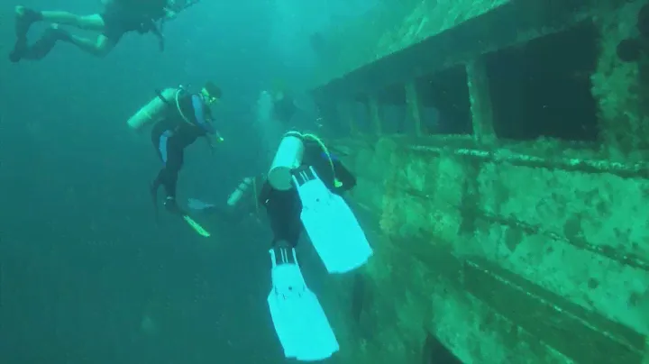The Kraken: New home for marine life