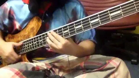 EMG X Series pups with EMG BQS preamp on Kraken Champ 5